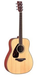 Best Left Handed Acoustic Guitars For Beginners