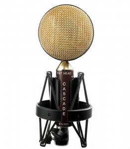 Best Ribbon Microphones