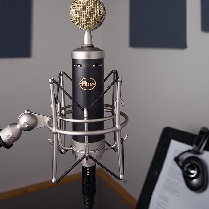 The Best Budget Microphone for Recording vocals